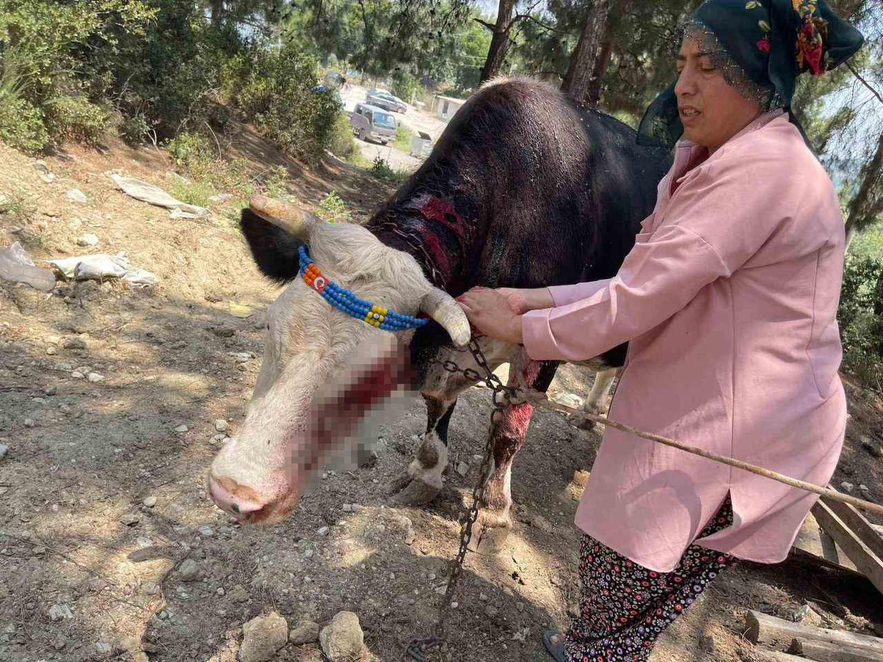 Çiftlik yangını ormana sıçramadan söndürüldü