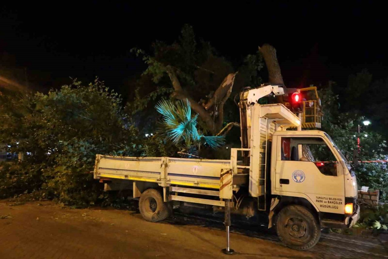 Turgutlu’da fırtına ağacı devirdi