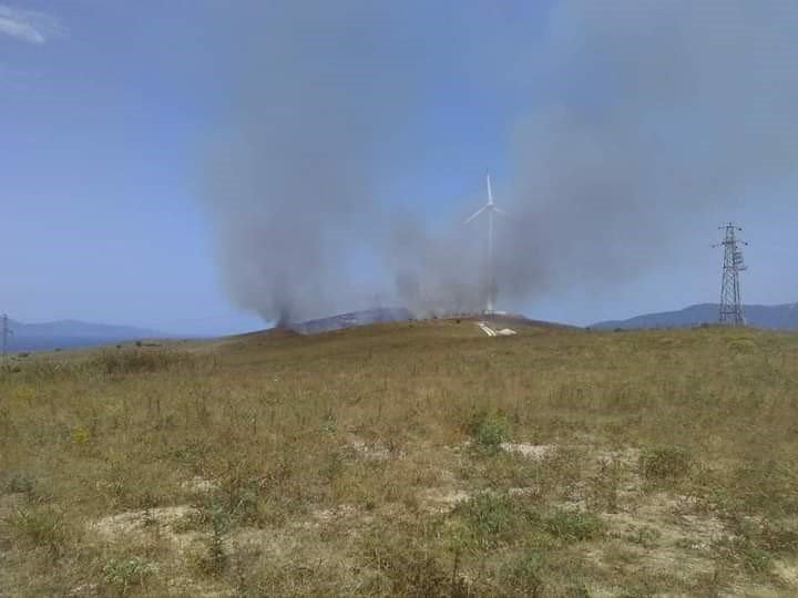 Paşalimanı adasında yangın paniği