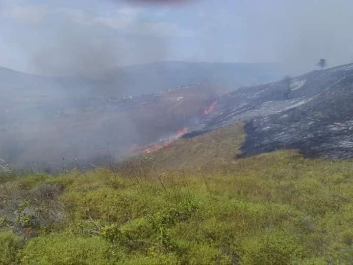 Paşalimanı adasında yangın paniği