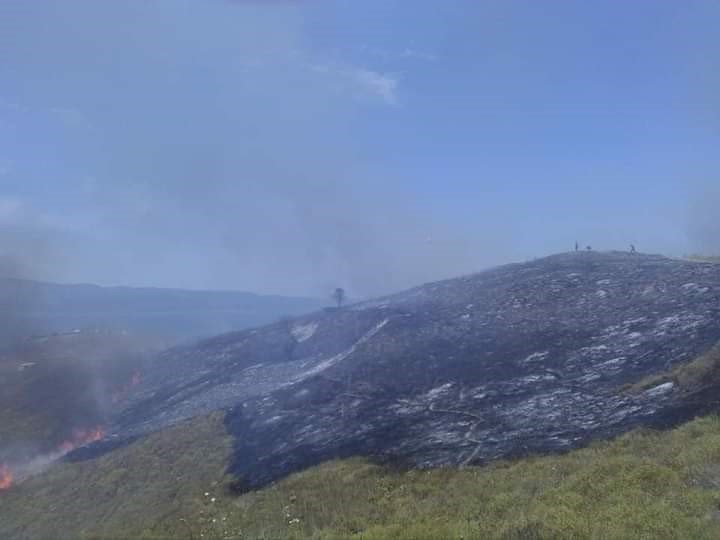 Paşalimanı adasında yangın paniği