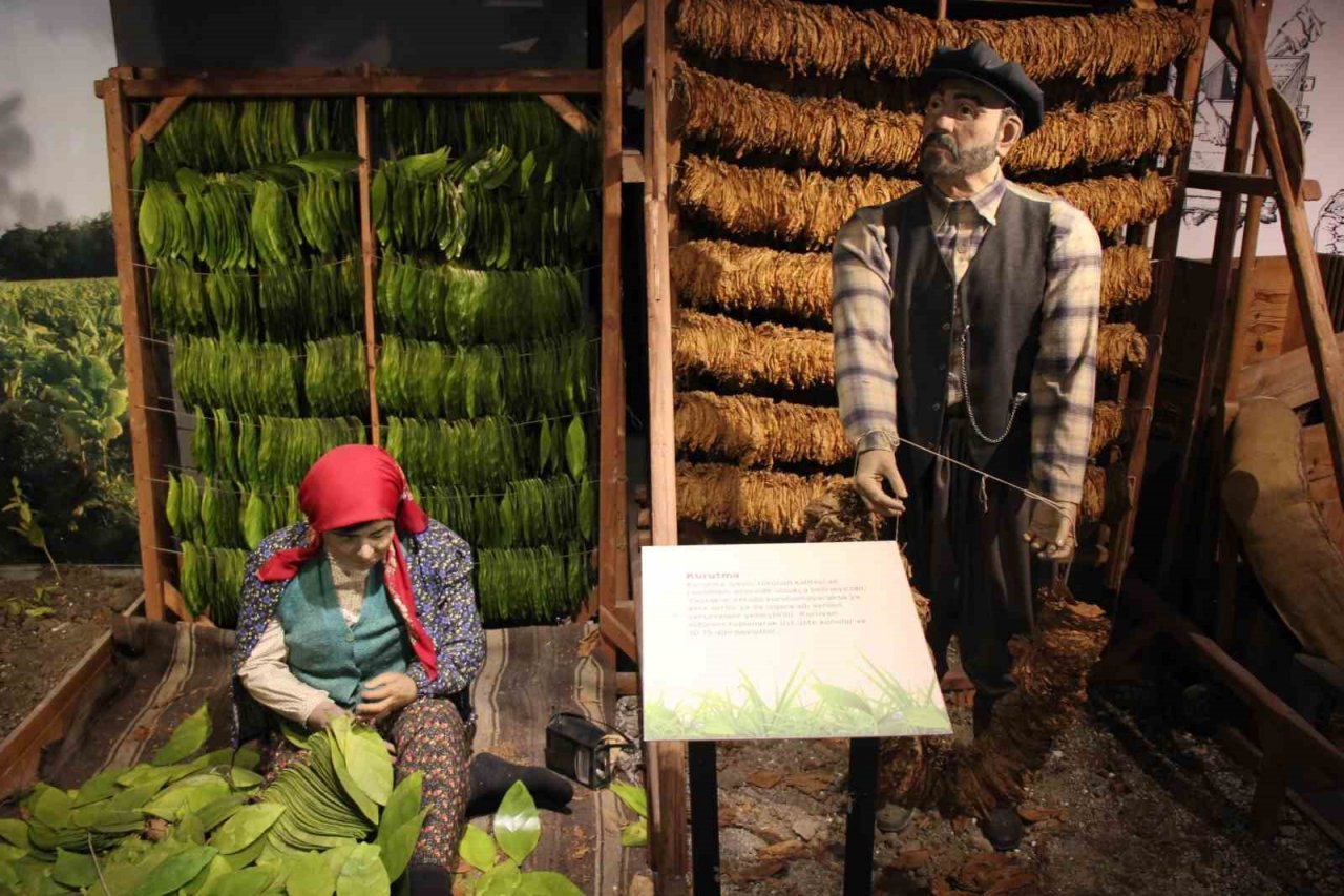 Avrupa’nın en iyi 6 müzesinden biri Samsun’da ziyaretçi akınına uğruyor