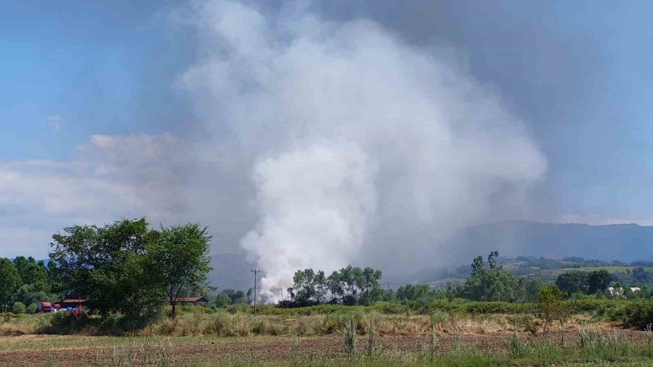Samsun’da geri dönüşüm fabrikasında yangın