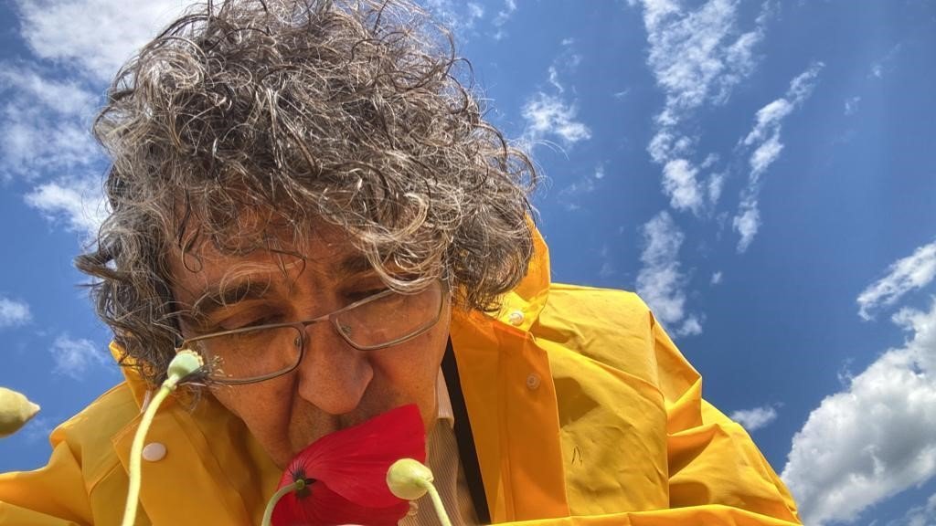 Sanatçı profesörden “Bir Bitki Bir Selfie: Gelincikler” performansı