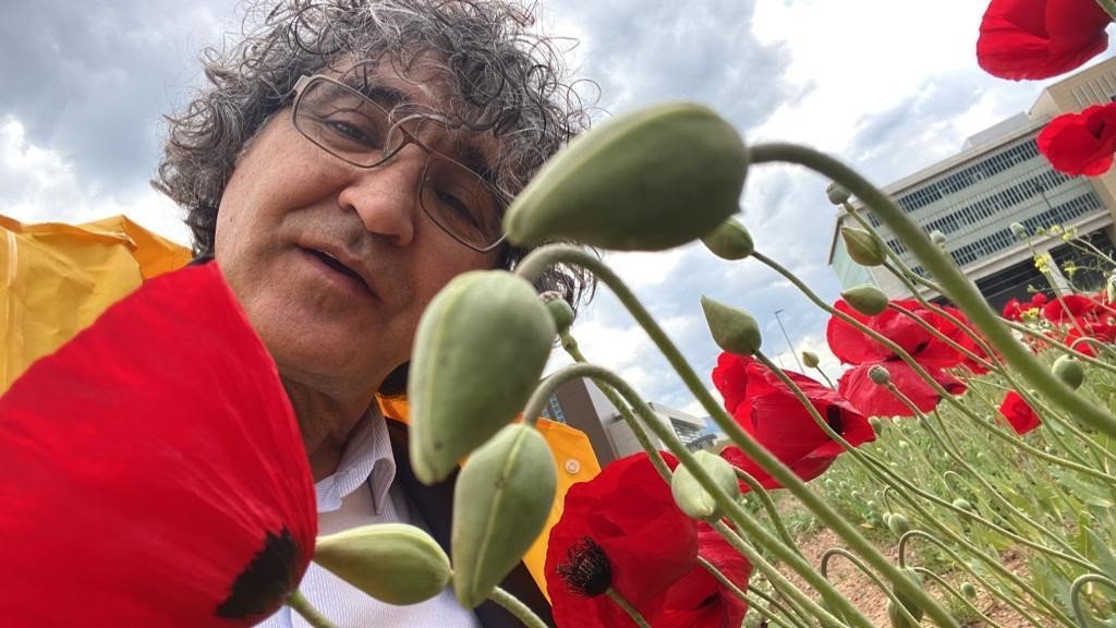 Sanatçı profesörden “Bir Bitki Bir Selfie: Gelincikler” performansı