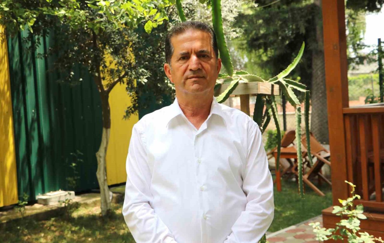 Turfanda domateste hasat sürüyor, 115 bin ton rekolte bekleniyor