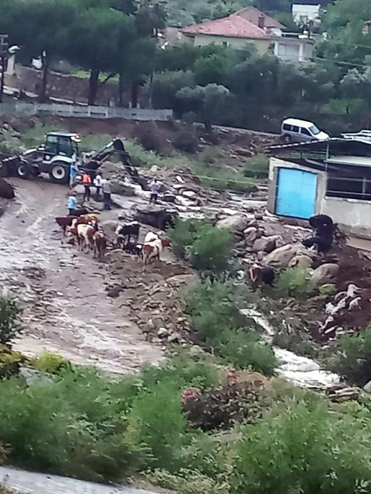 Selin vurduğu Çine Akçova’da çalışma başlatıldı