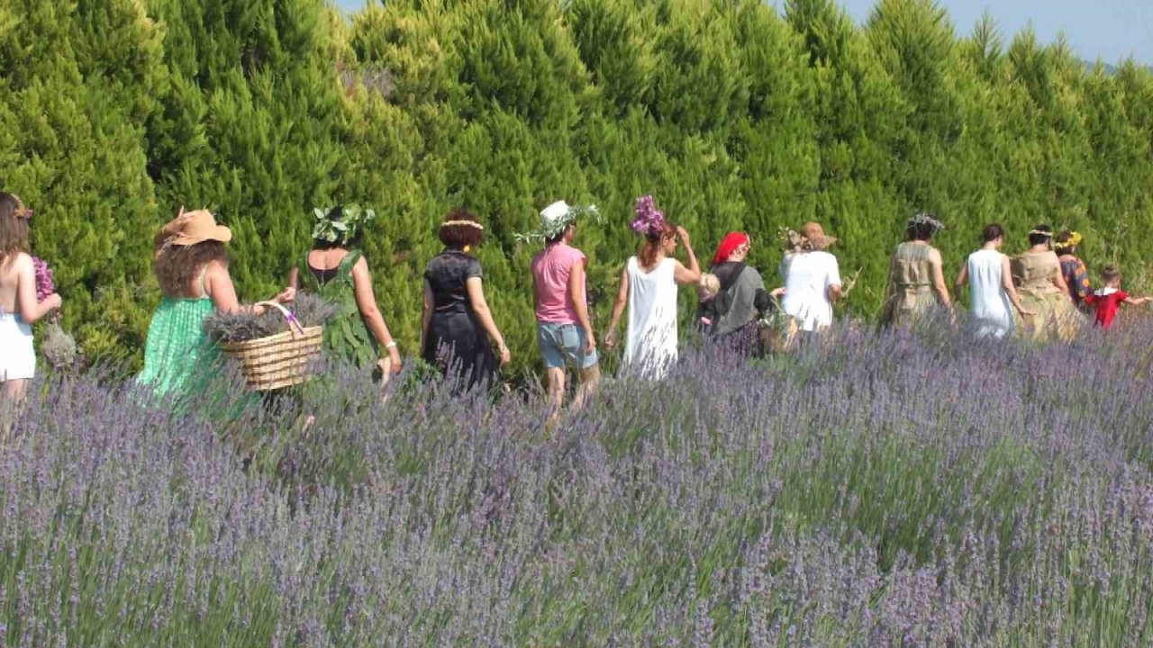 Lavanta bahçesinde defile