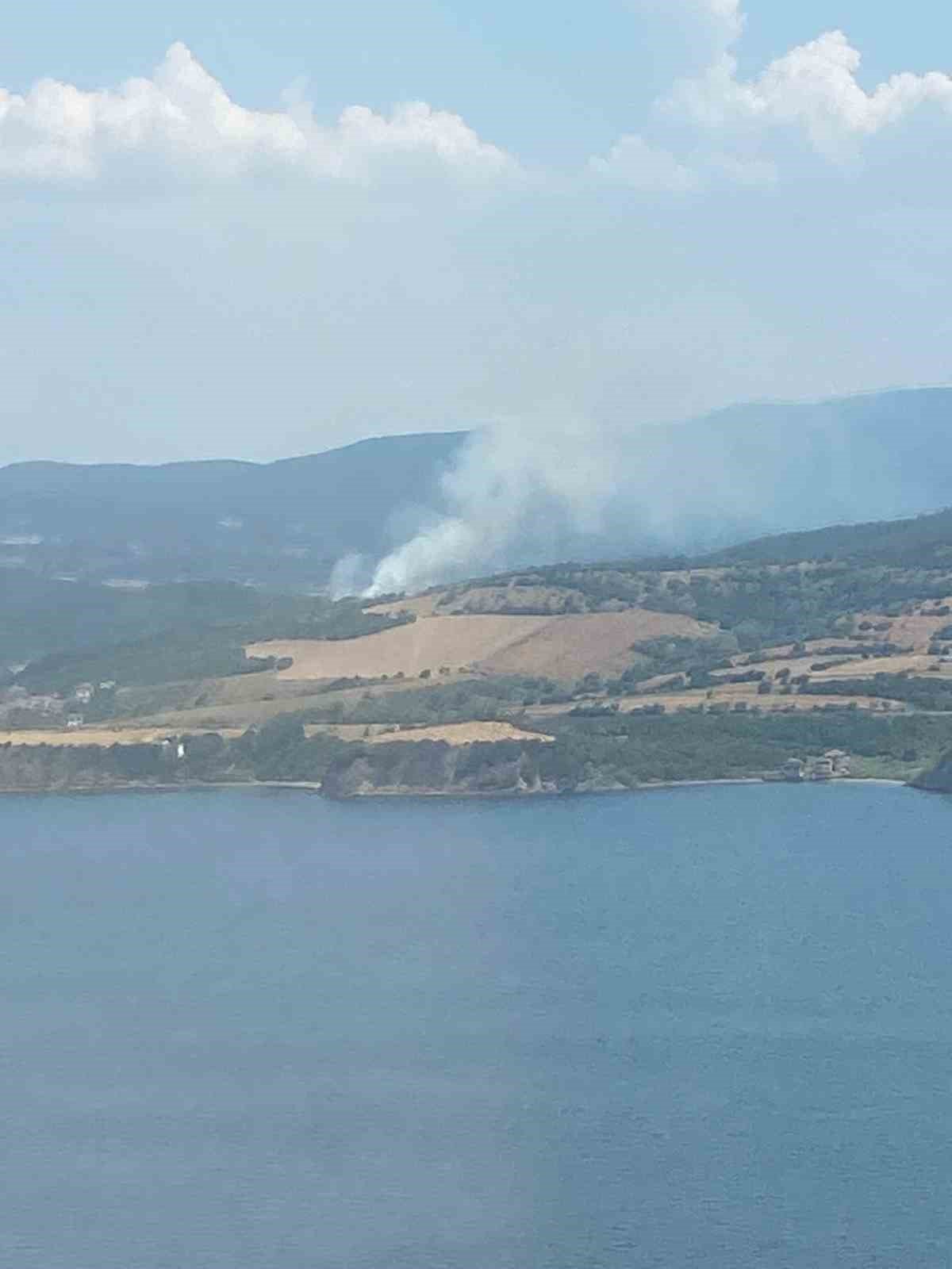 Çanakkale’de orman yangını