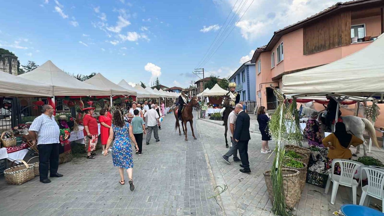 Ot festivalinde atlara yoğun ilgi