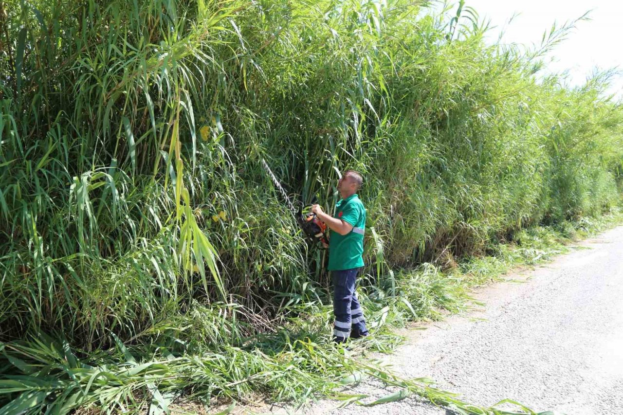 Efeler Belediyesi ekiplerinden kargı temizliği