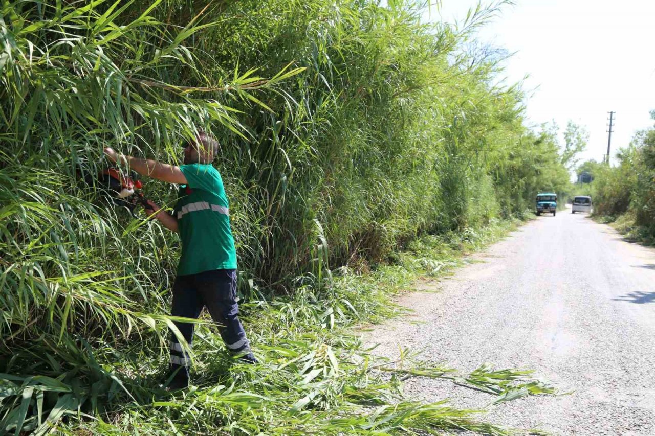 Efeler Belediyesi ekiplerinden kargı temizliği