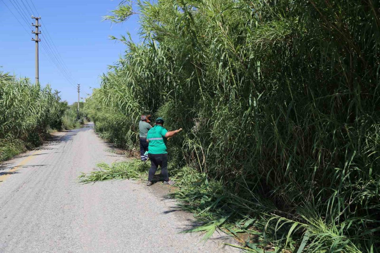 Efeler Belediyesi ekiplerinden kargı temizliği