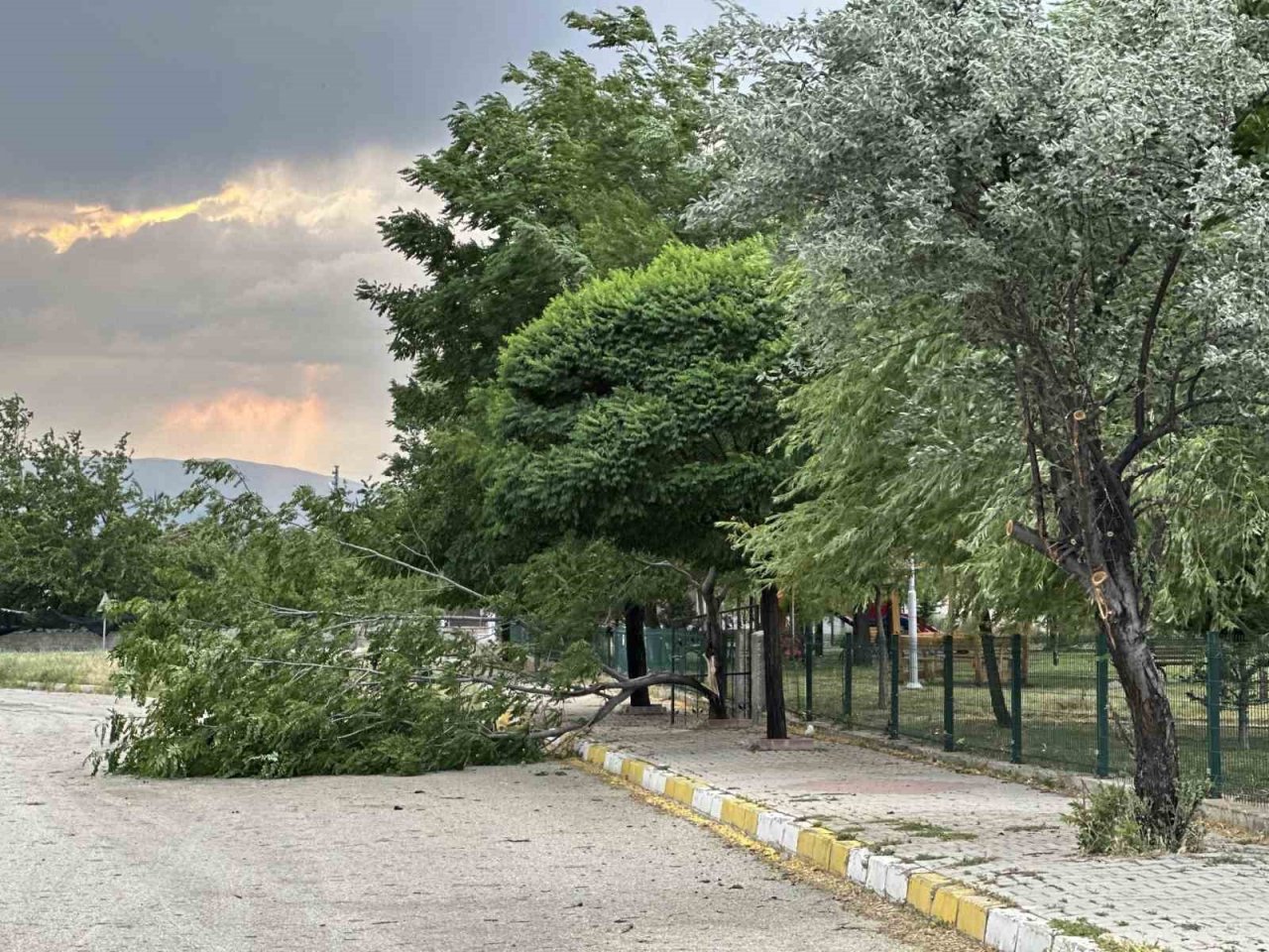 Erzincan’da fırtına ağaçları devirdi, çatıları uçurdu