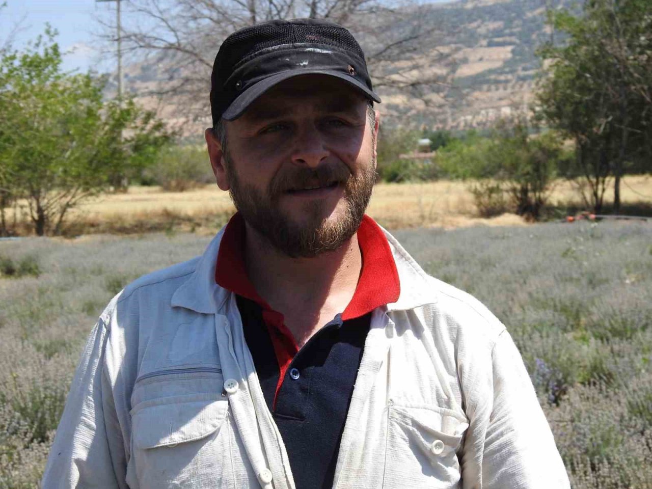 Genç girişimci çiftin kurduğu lavanta bahçesinde hasat başladı