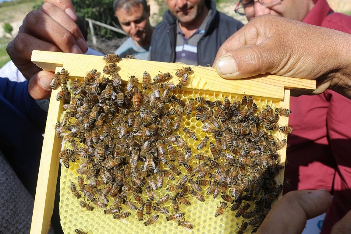 Fenni arıcılık kredi desteği