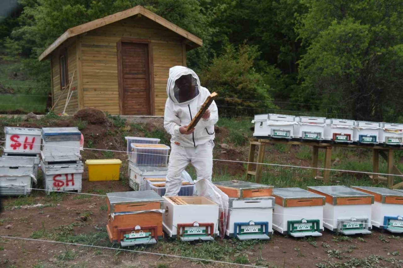 Fenni arıcılık kredi desteği