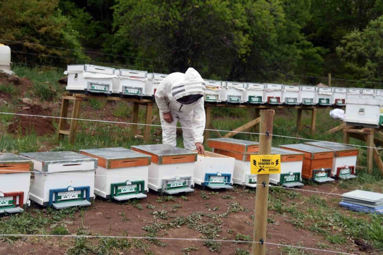 Fenni arıcılık kredi desteği