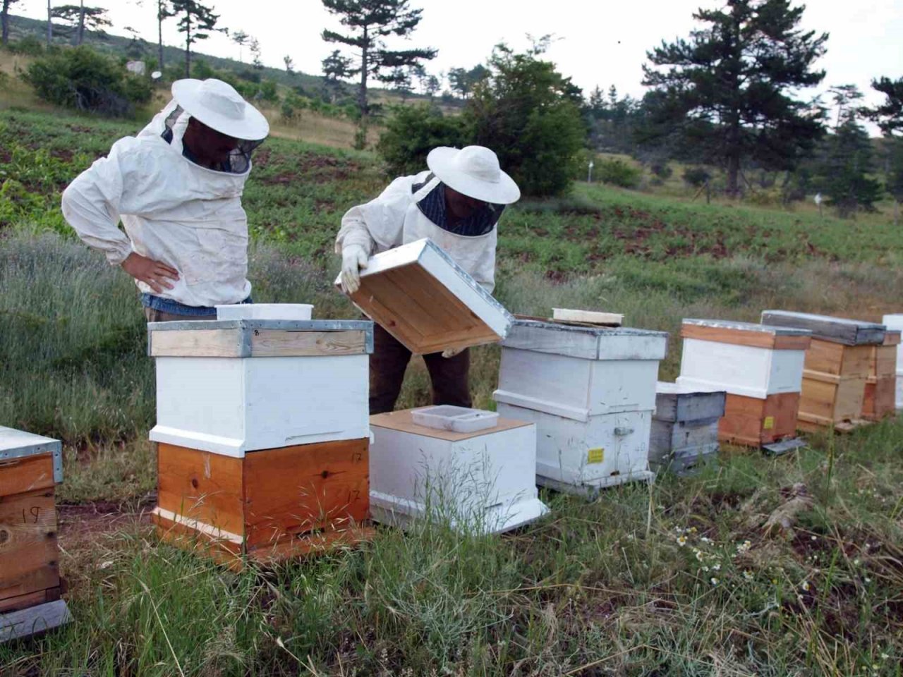 Fenni arıcılık kredi desteği