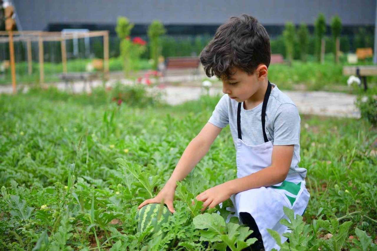 Yedikule ve Ayvansaray bahçelerinde yaz atölyeleri başladı