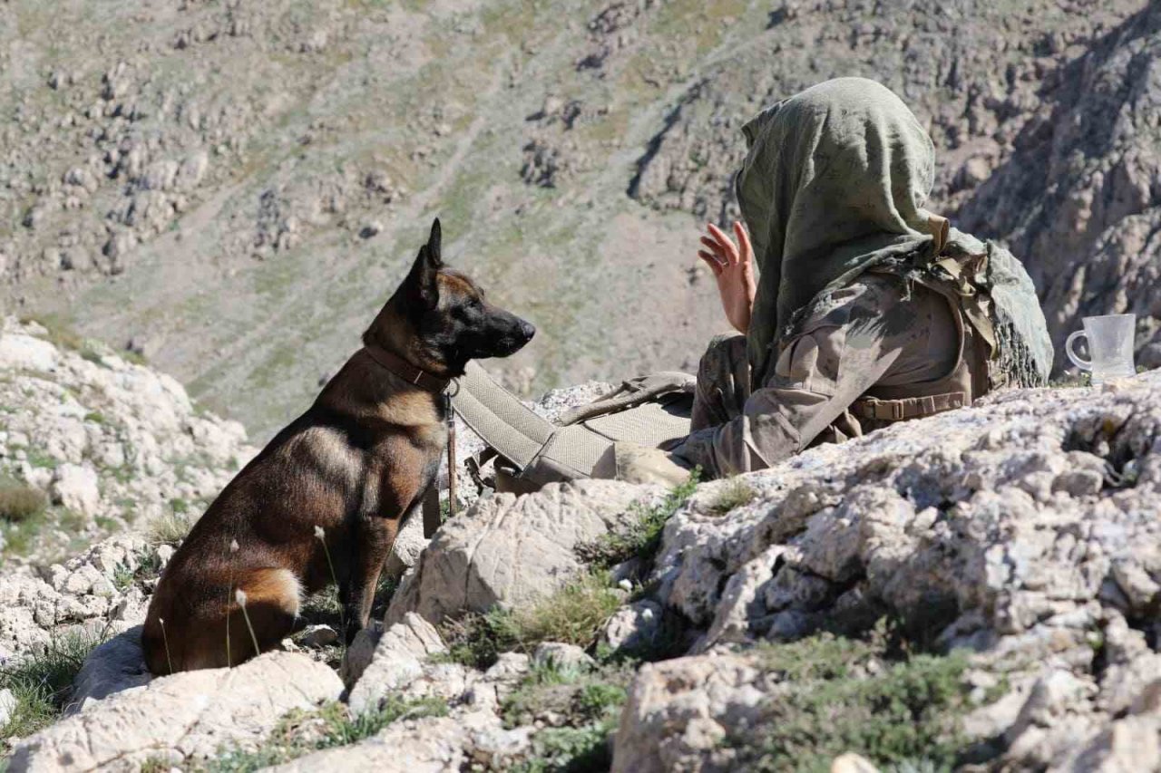 Kemah kırsalında terör operasyonu