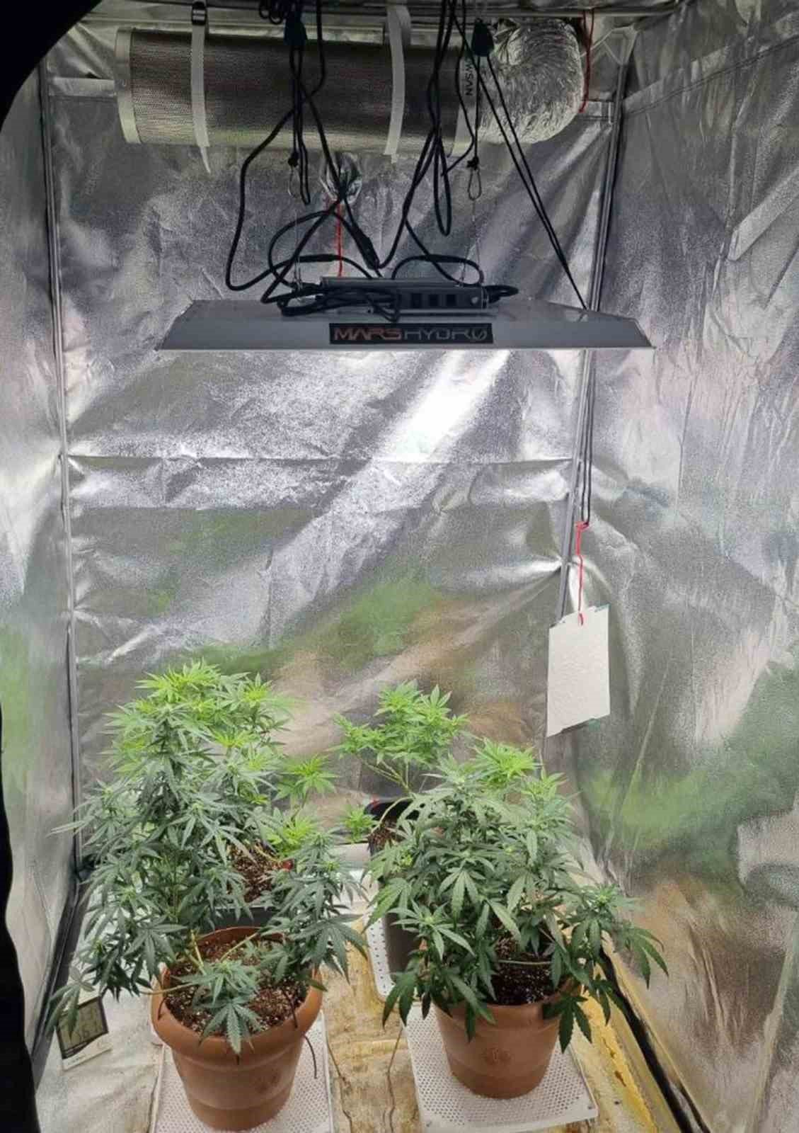 Jandarmadan iki haftada 24 uyuşturucu operasyonu