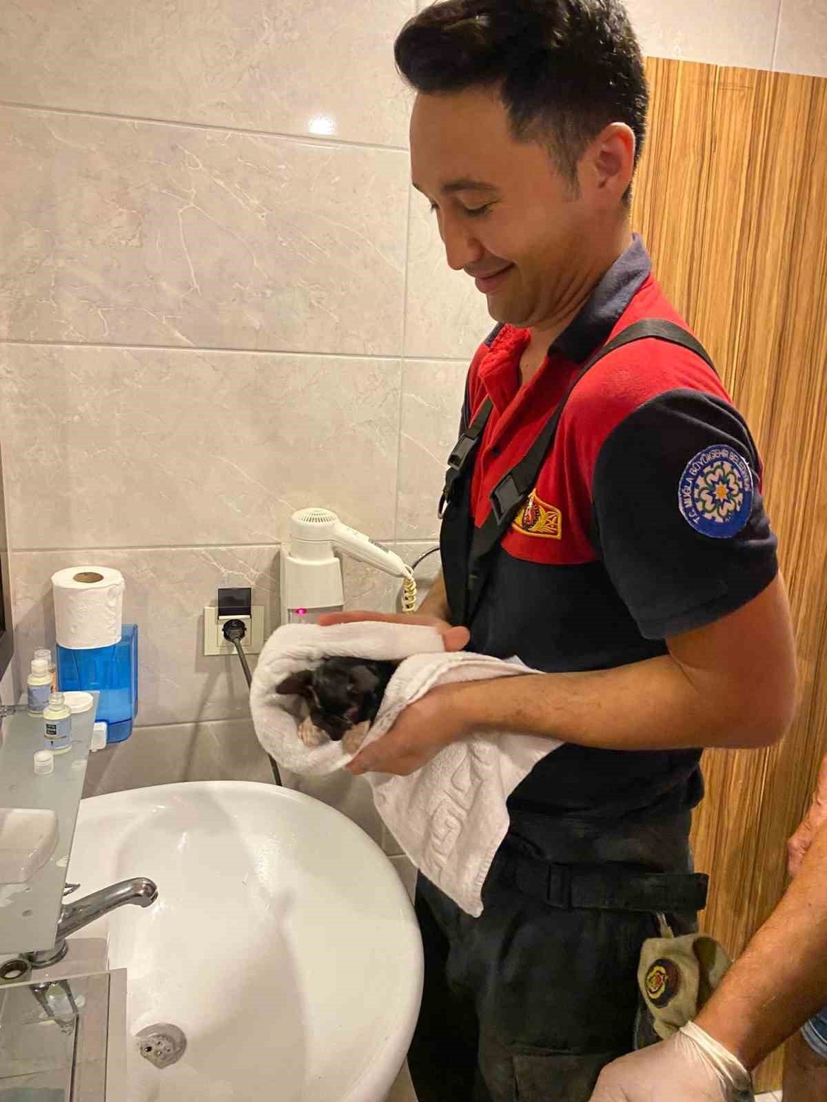 Kediyi görüntüleme cihazıyla tespit ettiler