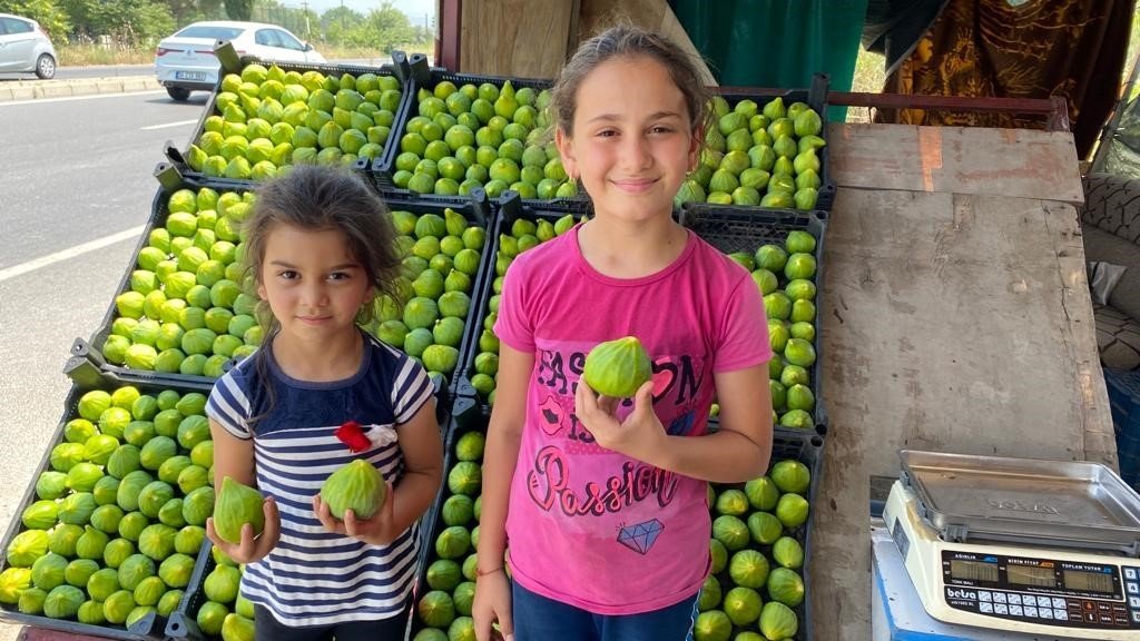 Kış uzun sürünce Aydın’da tezgahları Manisa inciri süsledi