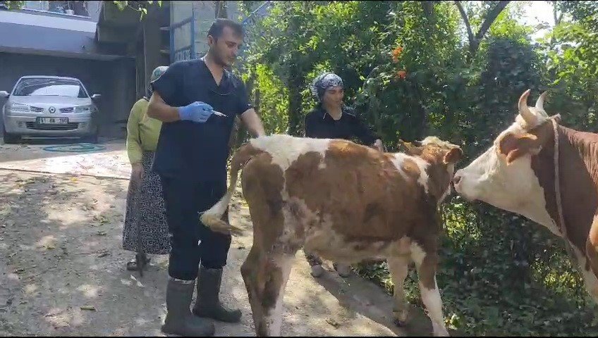 Zonguldak’ta 120 köy karantina ve gözetim altına alındı