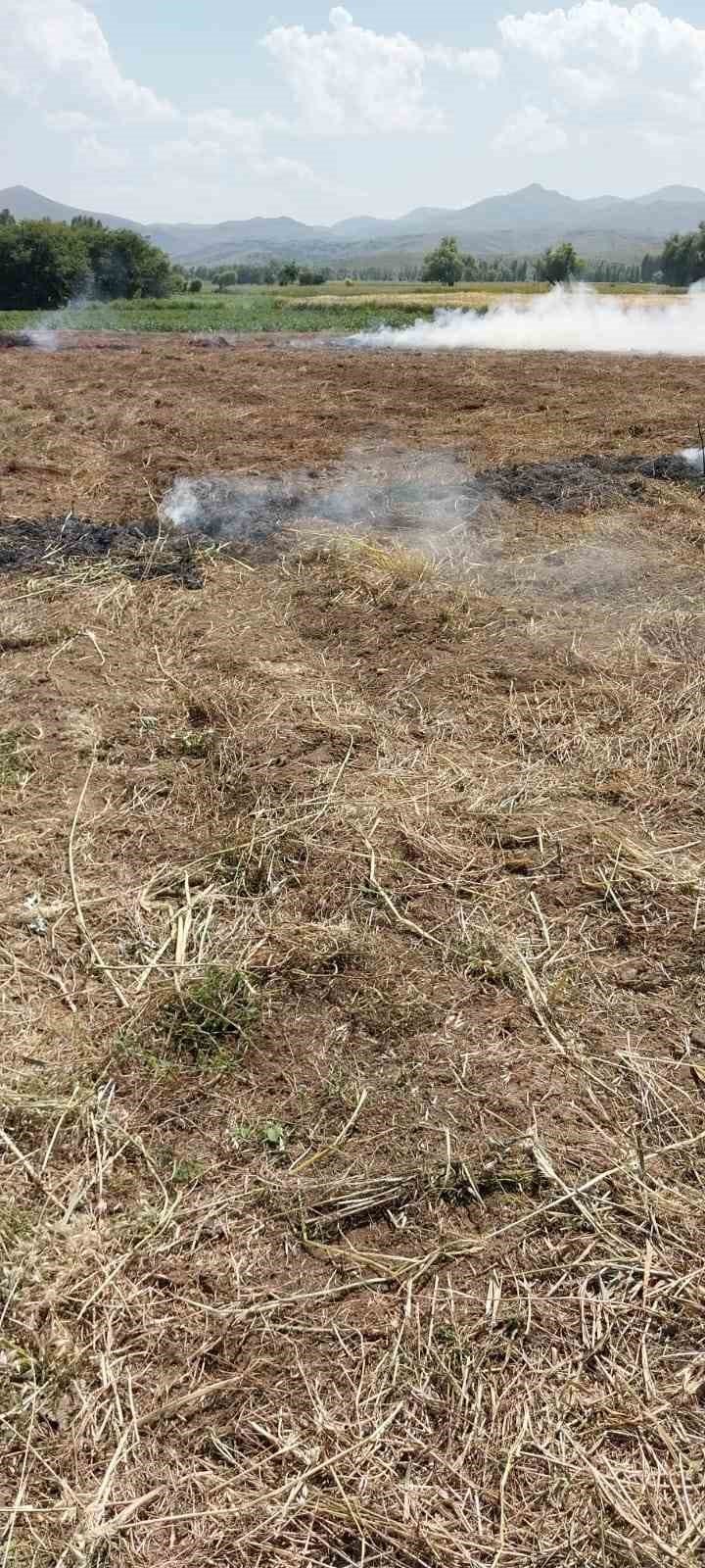 Anız yangını korkuttu