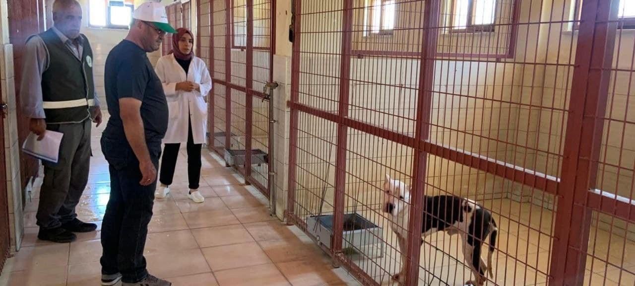 DKMP’den hayvan bakımevinde hijyen denetimi