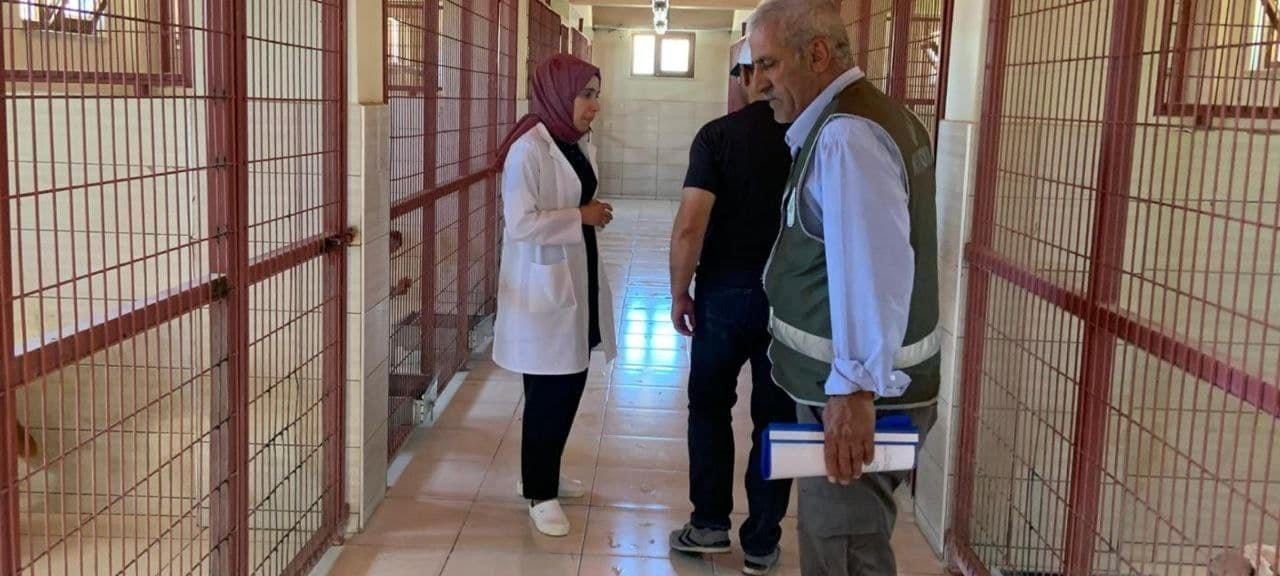 DKMP’den hayvan bakımevinde hijyen denetimi