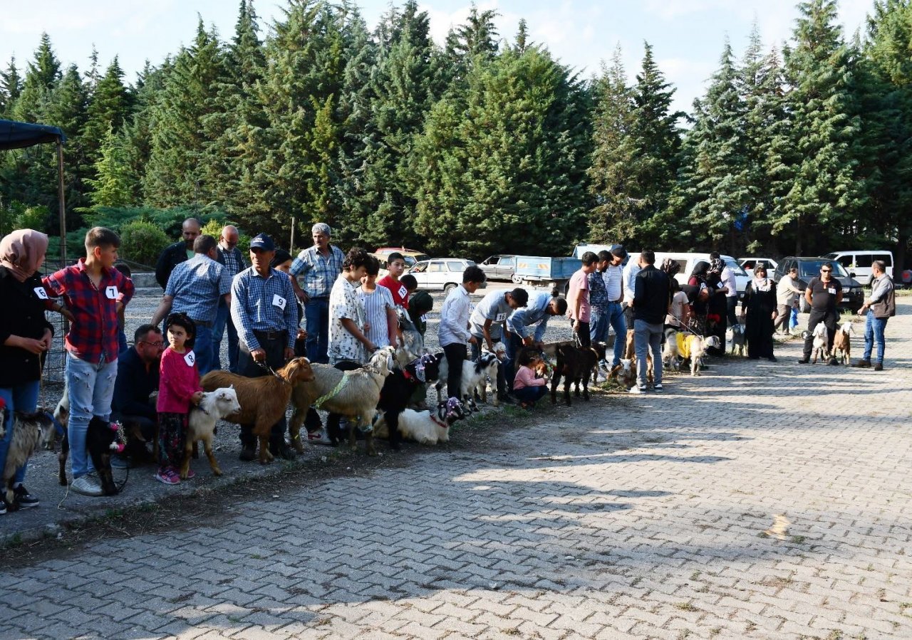 Emet’te oğlaklar podyuma çıktı