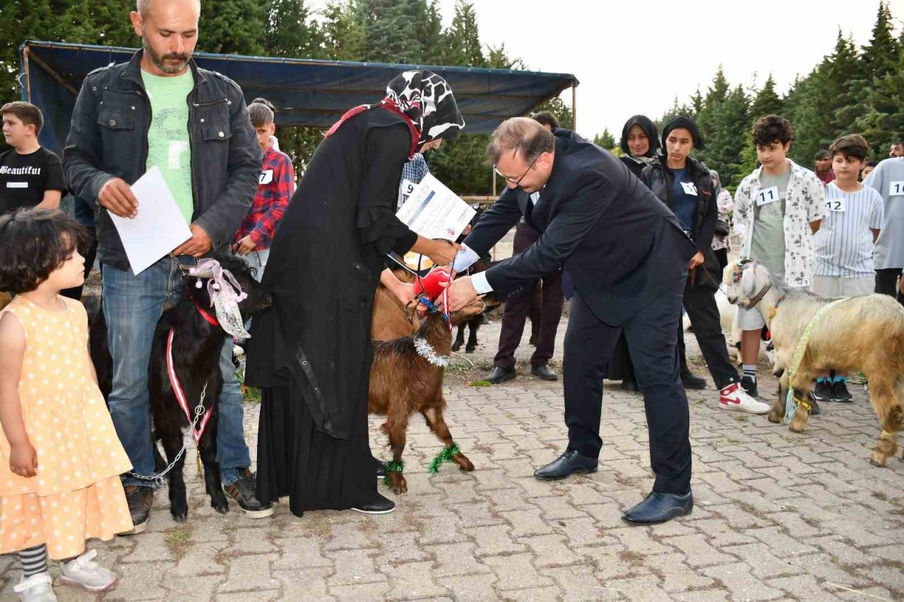 Emet’te oğlaklar podyuma çıktı