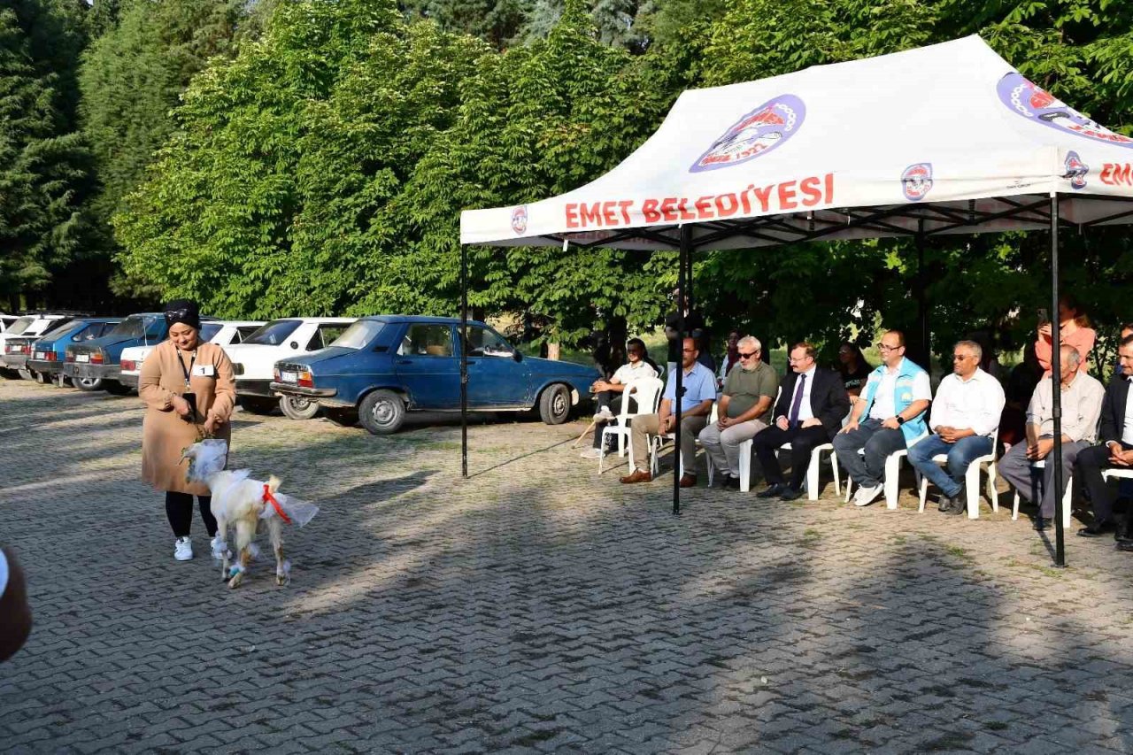 Emet’te oğlaklar podyuma çıktı