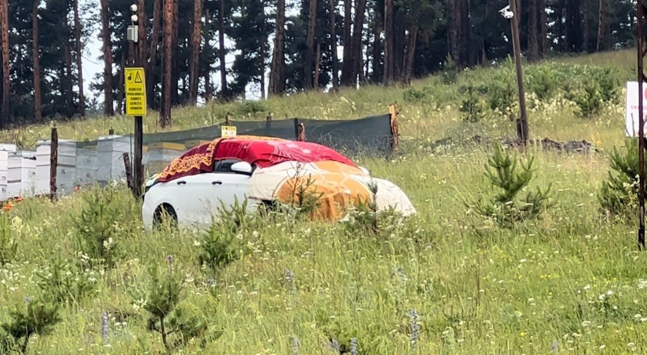 Sarıkamış’ı dolu vurdu