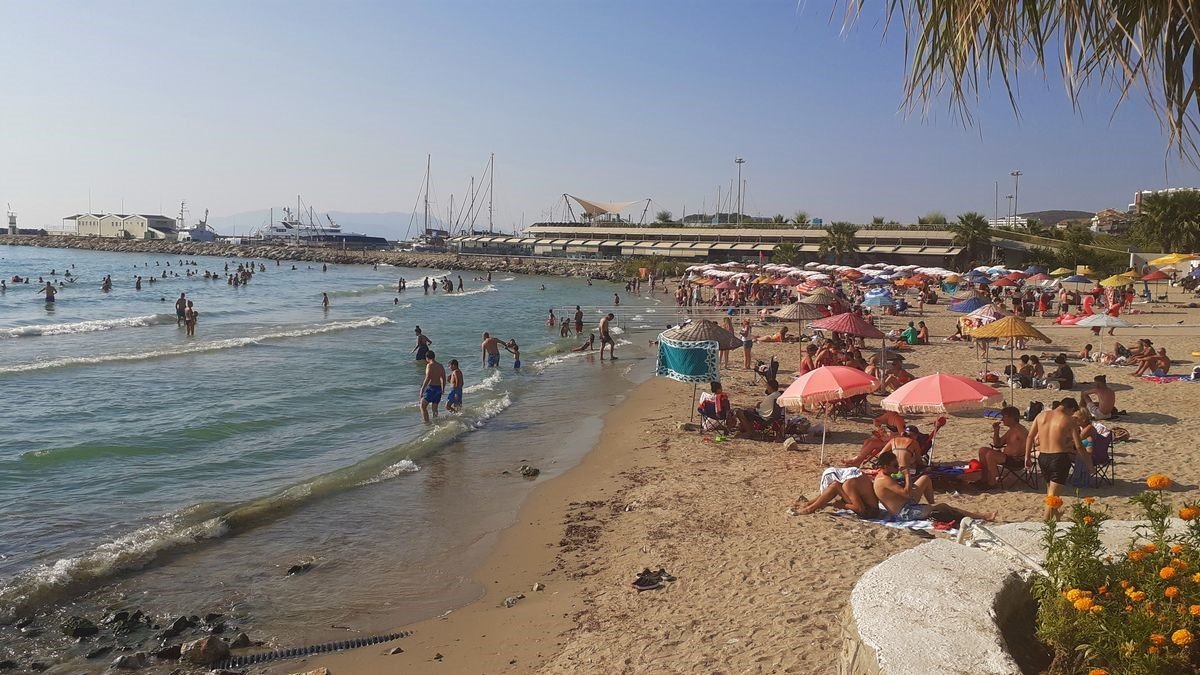 Endemik deniz çayırları ve deniz kaplumbağaları insan tehdidi altında