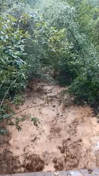 Artvin’de sağanak sonrası dereler taştı, tarım arazileri zarar gördü