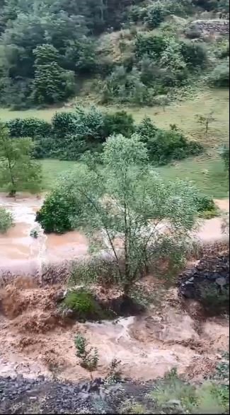 Artvin’de sağanak sonrası dereler taştı, tarım arazileri zarar gördü