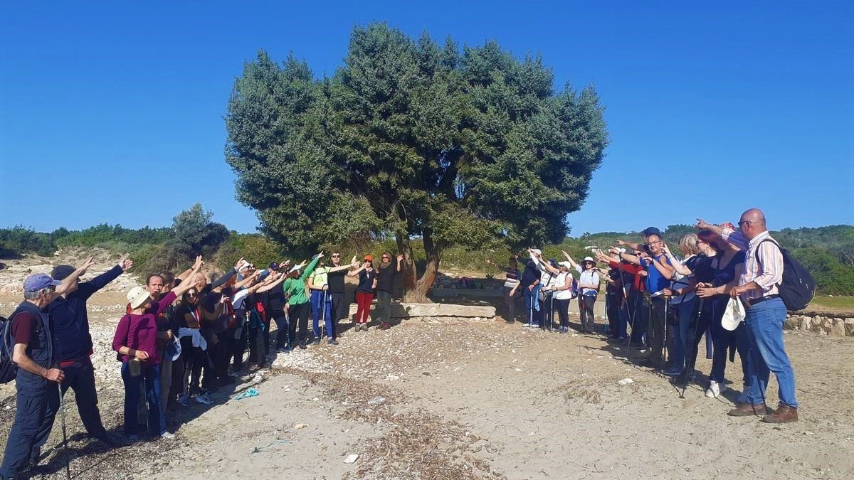 Tabiat alanında, kepçe ve hızarlı “temizlik”, doğaseverlerin tepkisini çekti