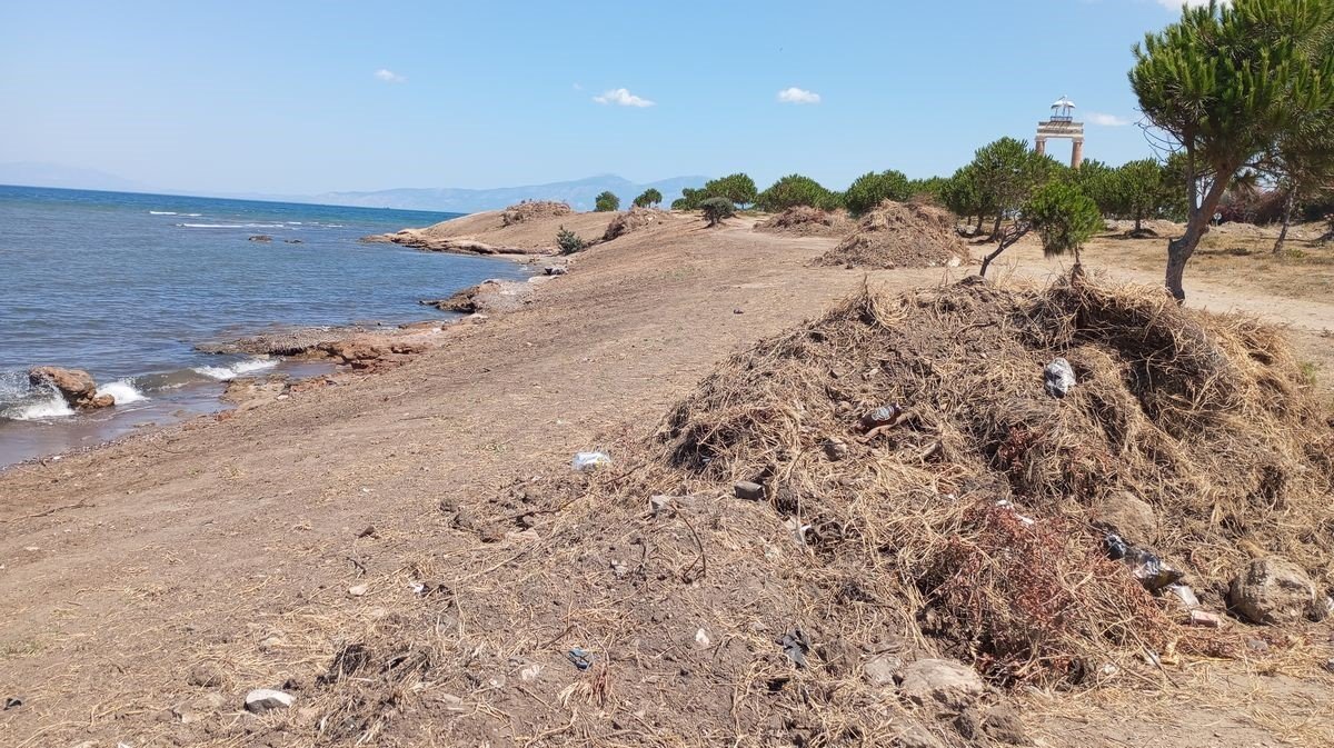 Tabiat alanında, kepçe ve hızarlı “temizlik”, doğaseverlerin tepkisini çekti