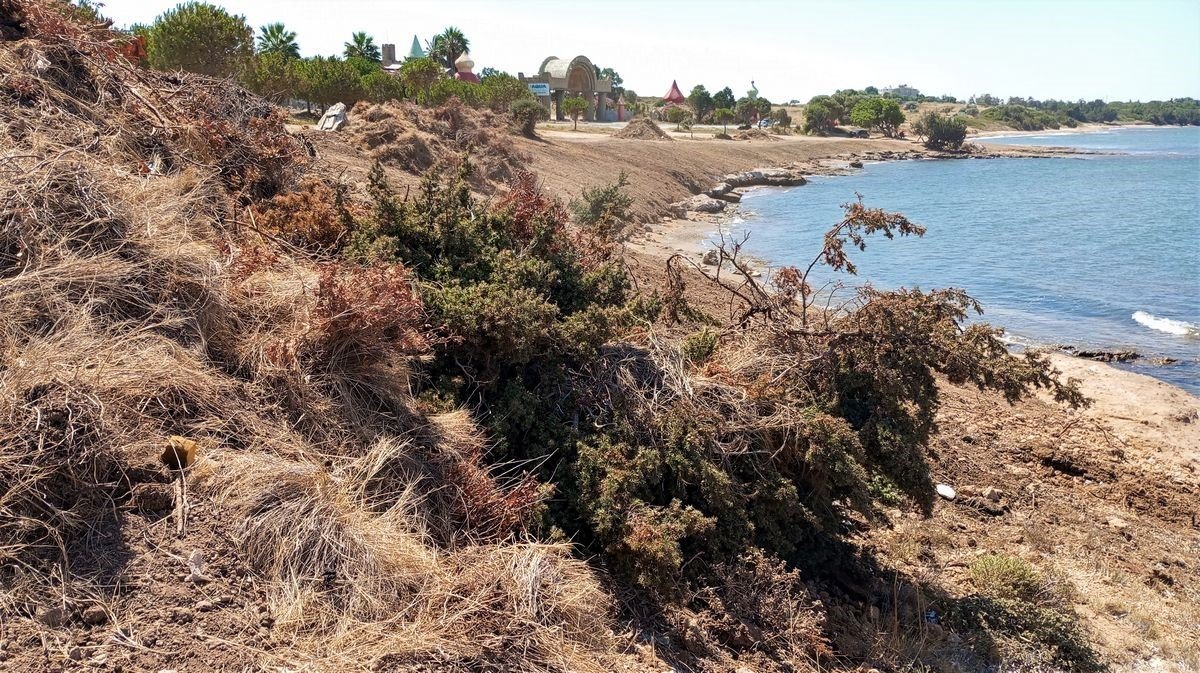 Tabiat alanında, kepçe ve hızarlı “temizlik”, doğaseverlerin tepkisini çekti