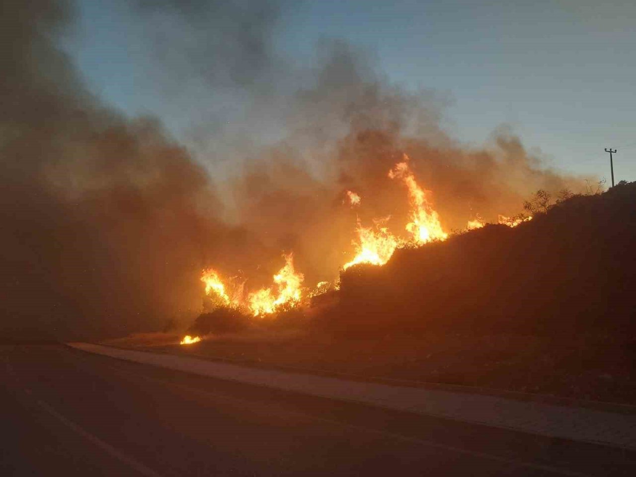 Didim’de makilik yangını