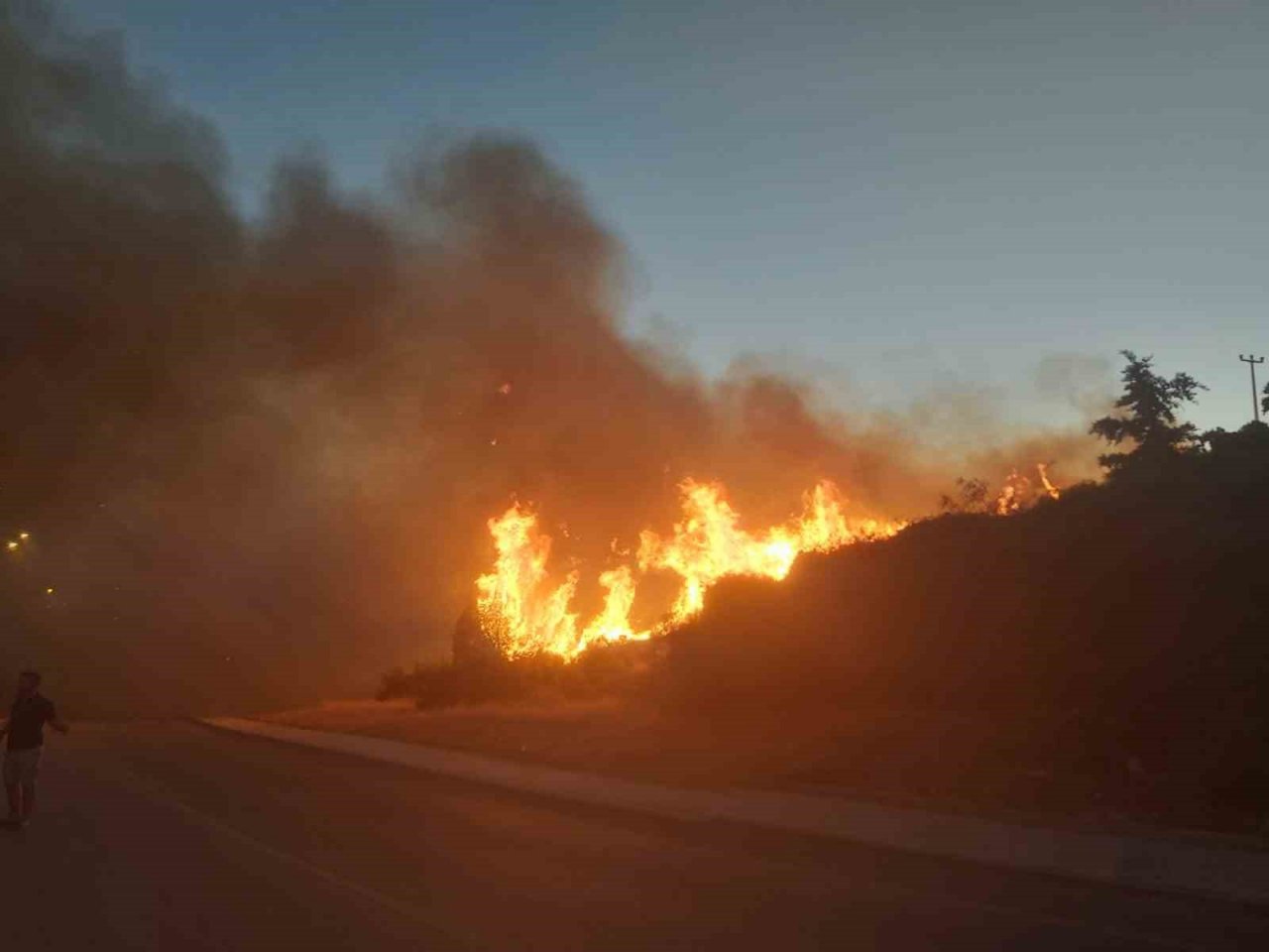 Didim’de makilik yangını