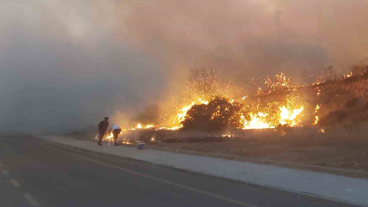 Didim’de makilik yangını