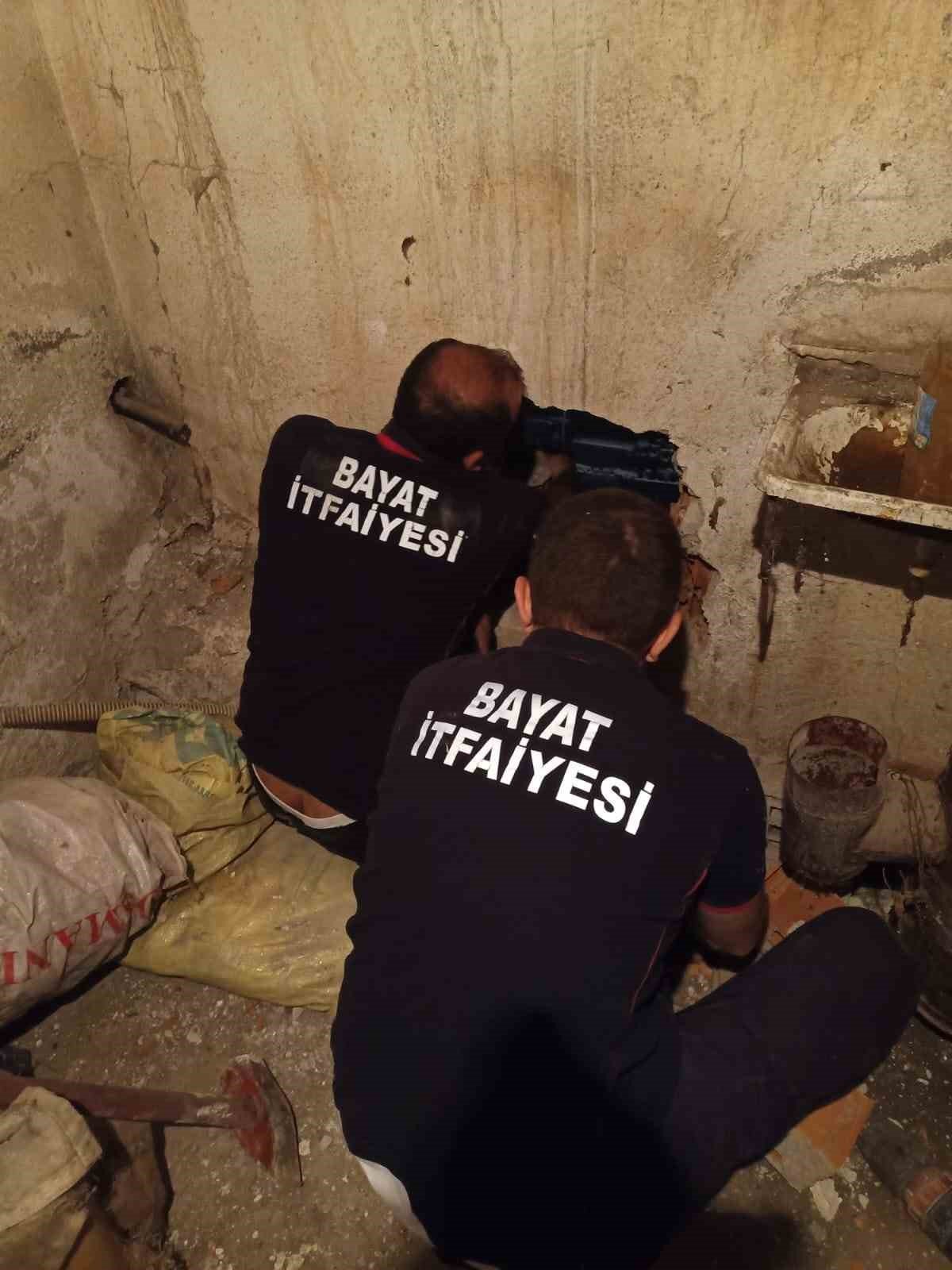 Havalandırma boşluğuna düşen yavru kediyi itfaiye kurtardı