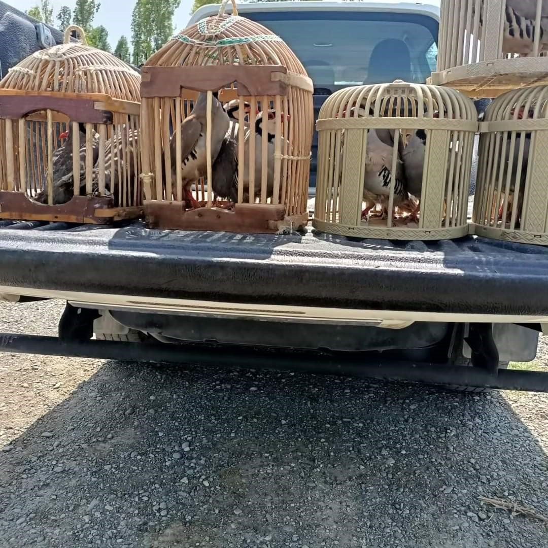 Kaçak avcılara 30 bin lira ceza