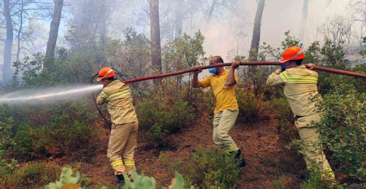 Muğla’da 3 saatte 6 yangın