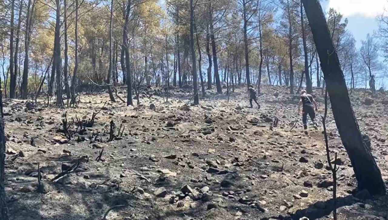 Muğla’da 3 saatte 6 yangın