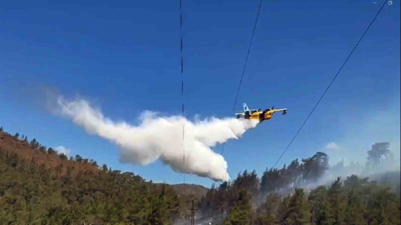 Muğla’da 3 saatte 6 yangın